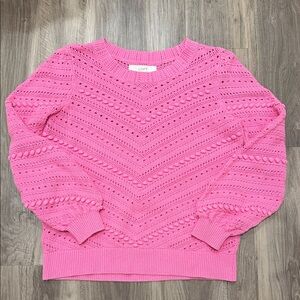 🧶 LOFT Pink Textured Chevron Knit Sweater